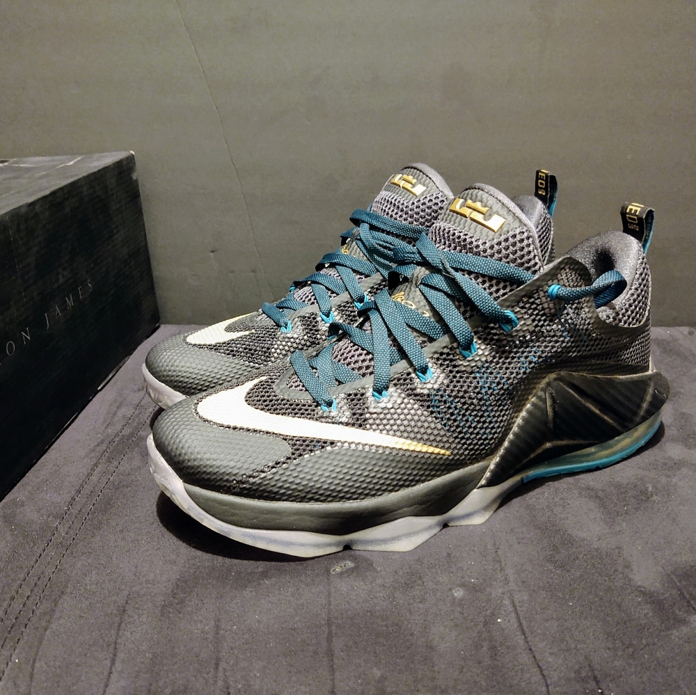 LeBron 12 low "SVSM"